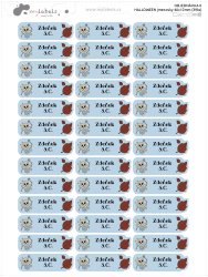 HALLOWEEN etichete cu nume 40x12 mm (39 buc.)
