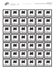 VASALHATÓ névcímkék SZUPERHŐS 22x22 mm (42 db)