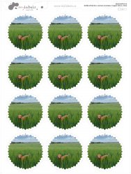 44 mm VASALHATÓ FOTÓCÍMKE KERETTEL (12 db)