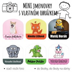 22 mm AUTOCOLANT FOTO - ETICHETĂ CU NUME (42 buc.)