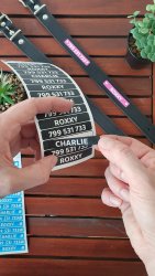 MA - TÉGLALAP SZÍNES névcímkék íróeszközökre 30x7 mm (40 db)