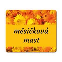 MA - ROLL-ON matricák KÉSZLET, 35x29 mm (12 db)
