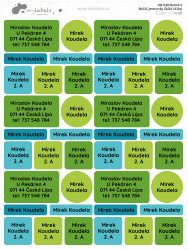 BASIC névcímke-KÉSZLET (42 db)