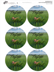 60 mm AUTOCOLANT FOTO (6 buc.)