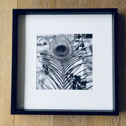 Poszter 30 x 30 cm saját fotó
