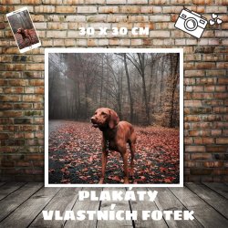 Poszter 30 x 30 cm saját fotó fehér szegéllyel