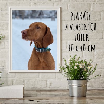 Poster 30 x 40 cm fotografie proprie