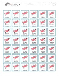 VASALHATÓ címkék SZUPERHŐSNŐ 22x22 mm (42 db)